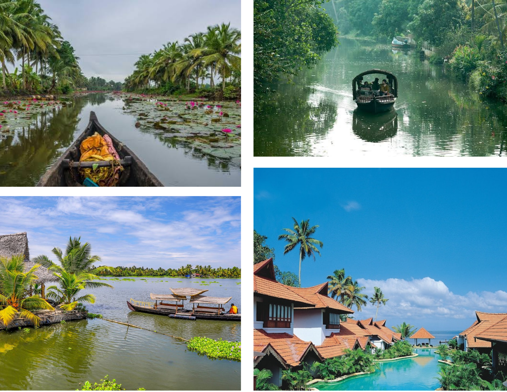 Kumarakom backwater taxi package with boat ride and bird sanctuary visit Kerala