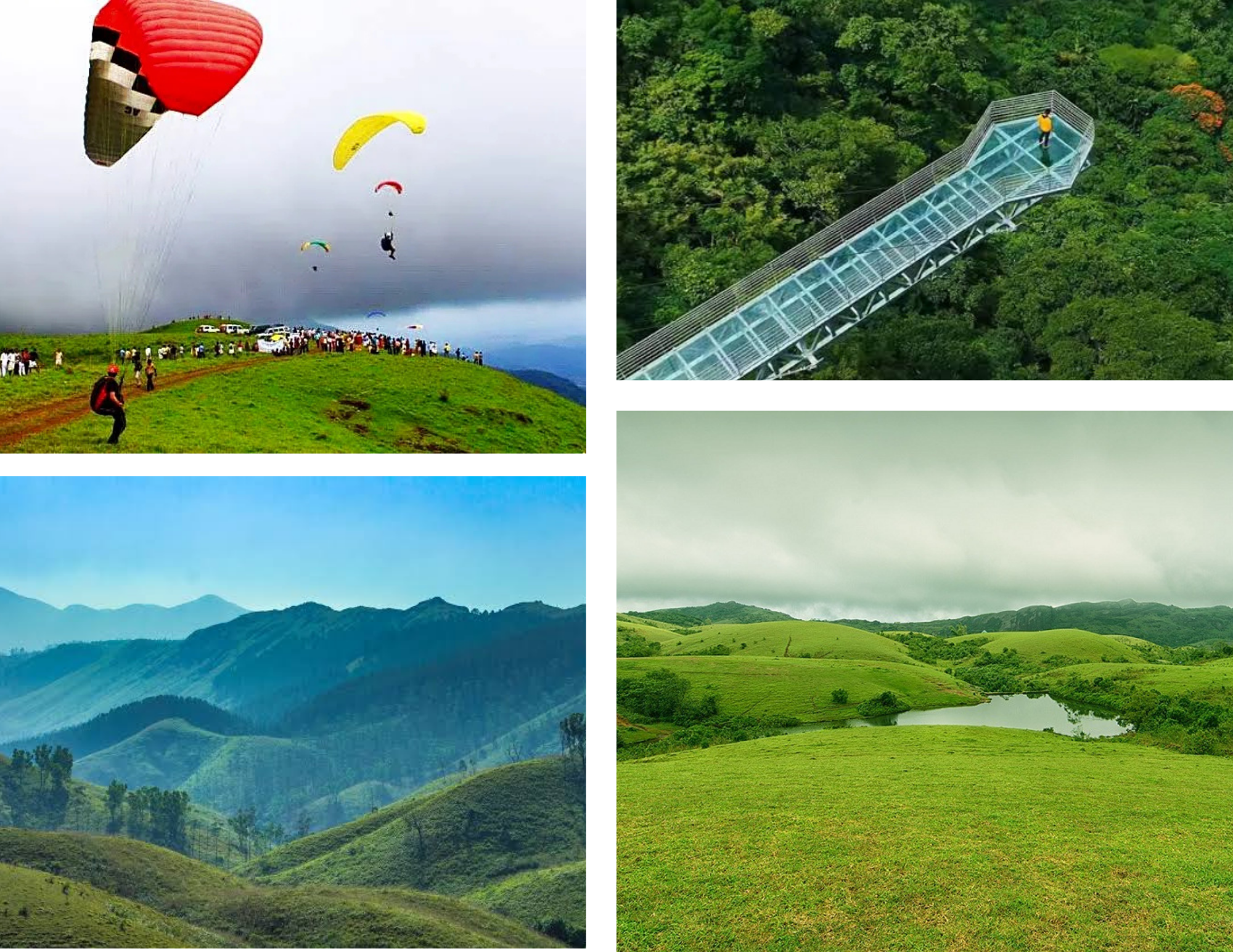 Vagamon hill station sightseeing taxi Kerala for pine forest, paragliding, and tea gardens